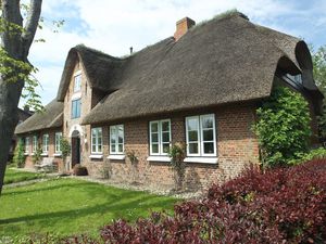 Ferienhaus für 5 Personen (101 m²) ab 66 € in Oldsum