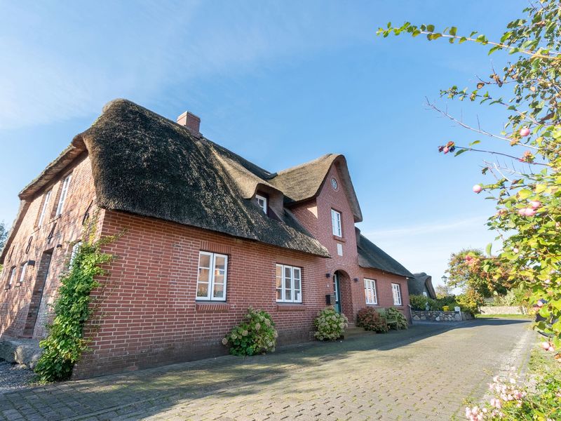 23984089-Ferienhaus-4-Oldsum-800x600-2