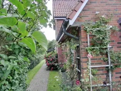 Ferienhaus für 5 Personen (100 m²) in Oldsum 3/10