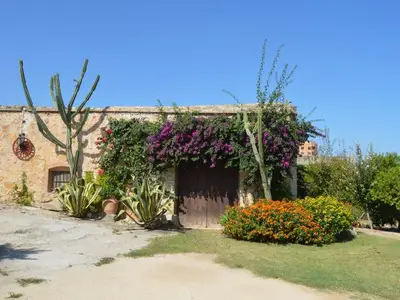 Bild 10
