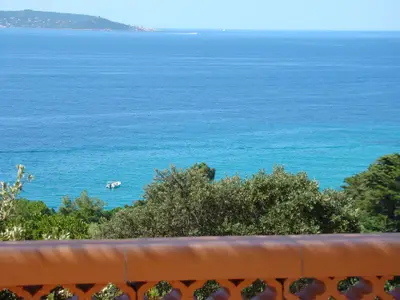 Blick von der terrasse
