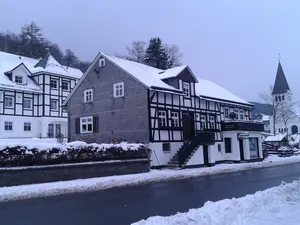 Ferienhaus für 9 Personen (385 m²) in Olsberg