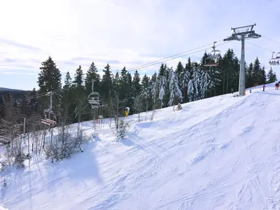 AreaWinter20KM