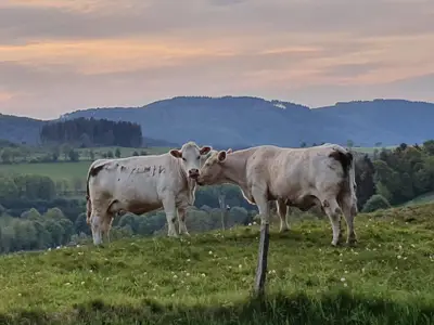 Am Ruhrtalradweg erwarten Sie schöne Ausblicke wie diese!