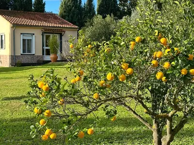 Ferienhaus für 2 Personen (30 m²) in Olvera 1/10