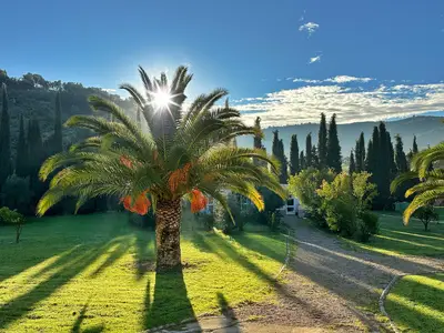 Ferienhaus für 2 Personen (30 m²) in Olvera 3/10