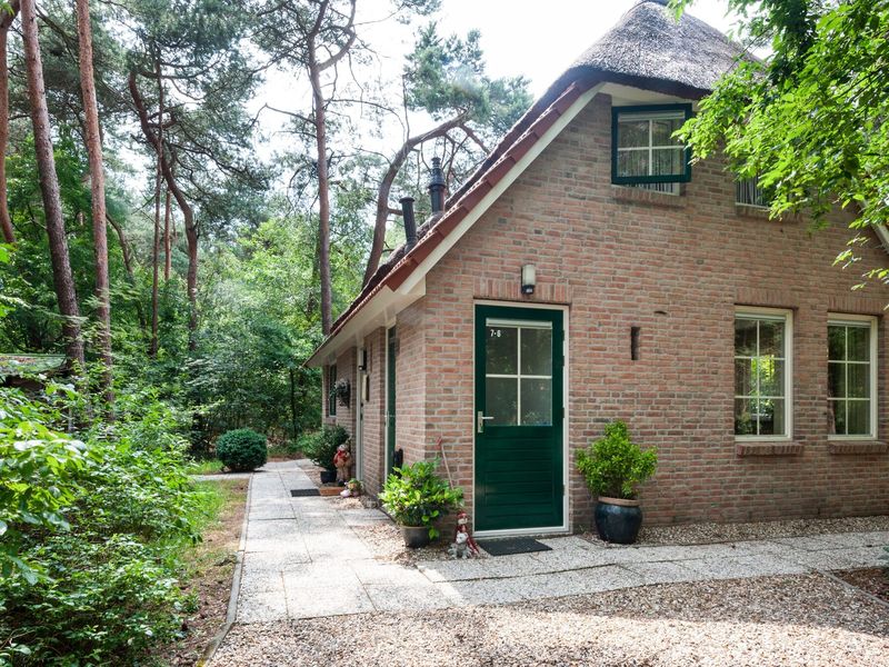 19354549-Ferienhaus-6-Ommen-800x600-0