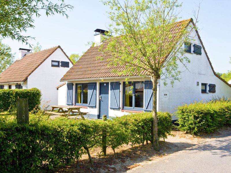 23856712-Ferienhaus-6-Oostduinkerke-800x600-0