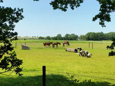 view-from-room