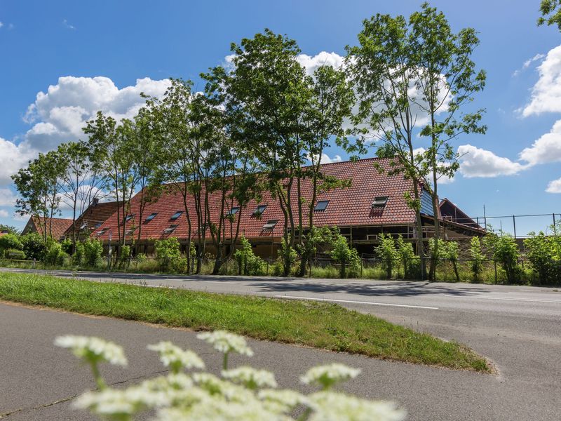 19353551-Ferienhaus-8-Oostkapelle-800x600-2