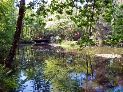 ExteriorSummer