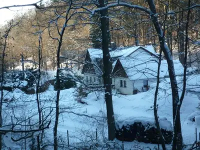 Ferienhaus für 11 Personen (20 m²) in Oppach 8/10