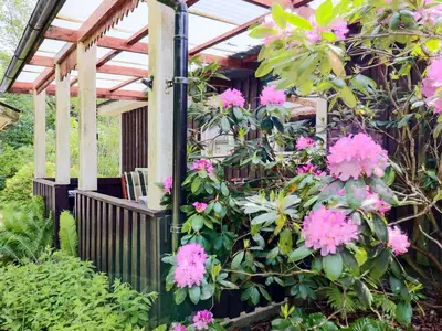 Outdoor
