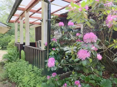 Outdoor