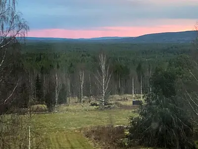 view-from-room