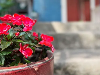 Outdoor