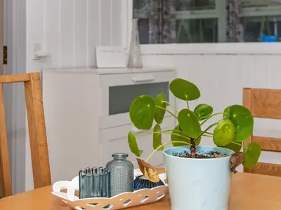 Indoor