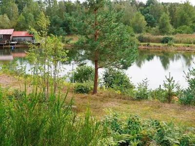 WaterView