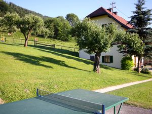 23840732-Ferienhaus-12-Ossiach-300x225-3