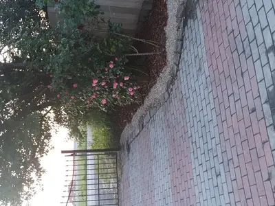 Ferienhaus für 6 Personen (125 m²) in Osteel 3/10