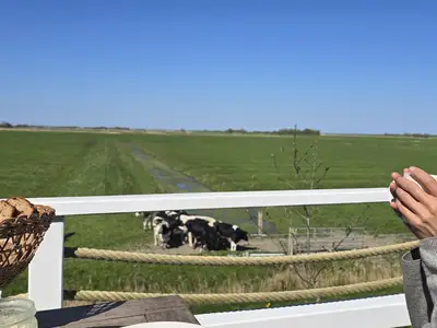 Ferienhaus für 2 Personen (60 m²) in Osterhever 7/10