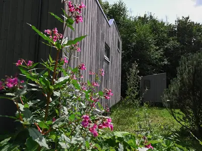 Hauptansicht