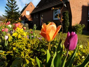 Ferienhaus für 4 Personen (103 m²) in Osterrönfeld
