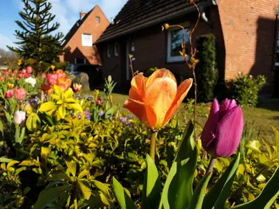 Ferienhaus für 4 Personen (103 m²) in Osterrönfeld 1/10