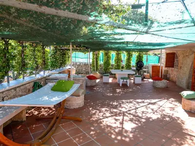 GardenSummer