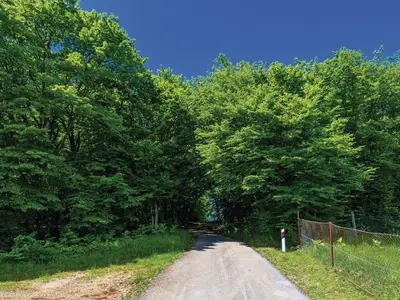 outside