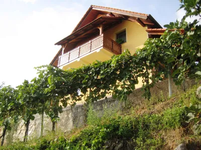Ferienhaus für 4 Personen (53 m²) in Otocec 2/10