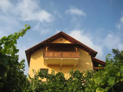 Ferienhaus für 4 Personen (53 m²) in Otocec 3/10