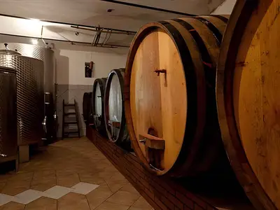 Ferienhaus für 4 Personen (53 m²) in Otocec 5/10