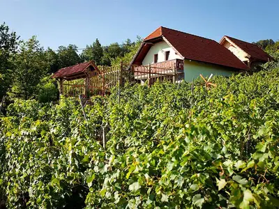 Ferienhaus für 5 Personen (48 m²) in Otocec 1/10