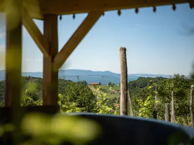 Ferienhaus für 4 Personen (60 m²) in Otocec 8/10