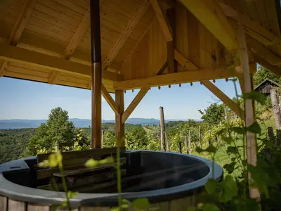 Ferienhaus für 4 Personen (60 m²) in Otocec 9/10