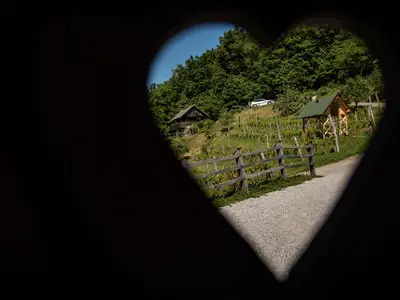 Ferienhaus für 4 Personen (60 m²) in Otocec 10/10