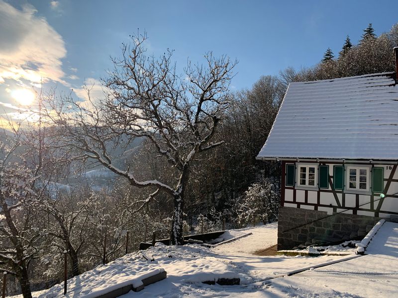 22690903-Ferienhaus-10-Ottenhöfen im Schwarzwald-800x600-2