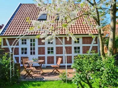 Ansicht Garten