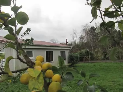 Ihr Ferienhaus aus Deichsicht