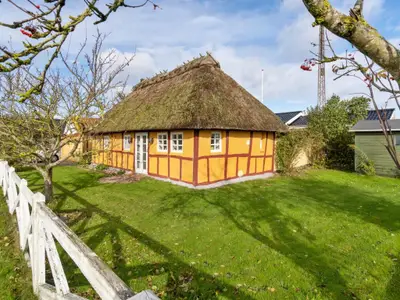 Ferienhaus für 4 Personen (67 m²) in Otterup 9/10