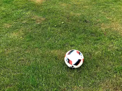 Outdoor