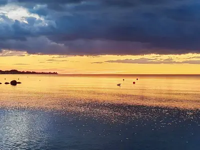 WaterView