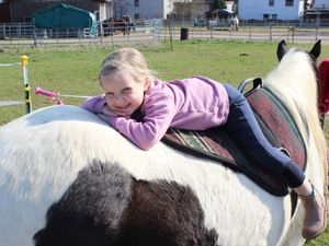 Reitpädagogik und Pferdepflege