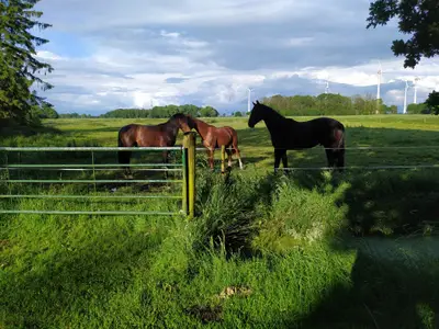 Ferienhaus für 4 Personen (110 m²) in Ovelgönne 9/10