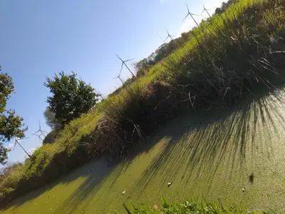 Ferienhaus für 4 Personen (110 m²) in Ovelgönne 10/10
