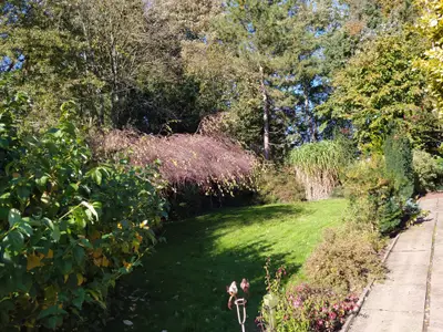 Ferienhaus für 4 Personen (110 m²) in Ovelgönne 5/10