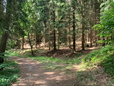 Ferienhaus für 10 Personen (145 m²) in Oybin 7/10