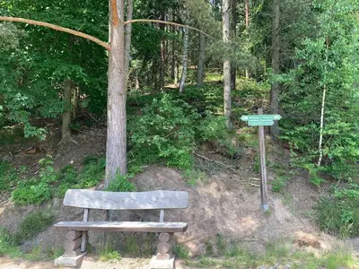 Ferienhaus für 10 Personen (145 m²) in Oybin 8/10