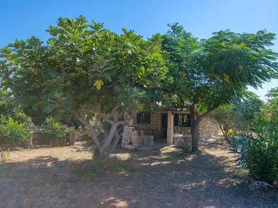 Ferienhaus für 2 Personen (45 m²) in Otok Pag 5/10